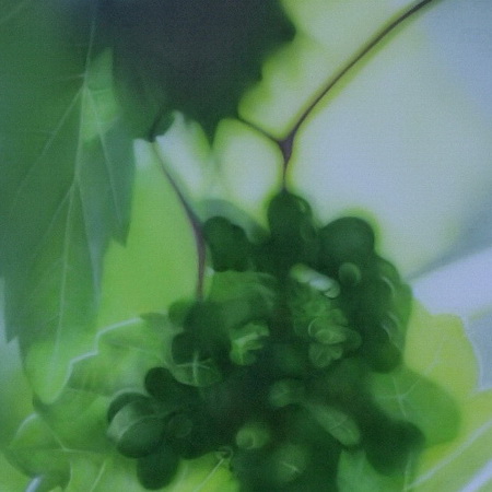 unclear, out of focus, green, grape, airbrush, canvas, photorealistic, art, painting, handmade, grape leaves, wine, vintage, harvest, tamas mike <img src='assets/img/sold.png' />